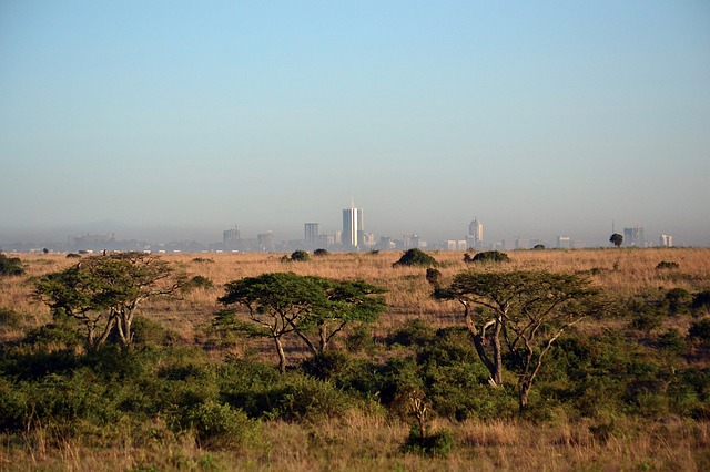 the outskirts of nairobi, kenya is a wild place with the countryside and city skyline in the background